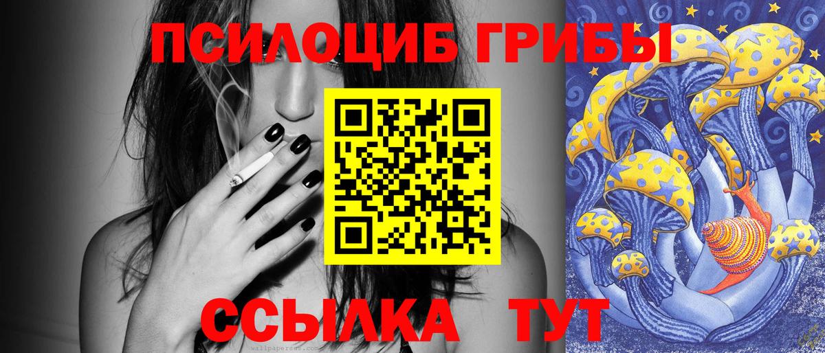 Галлюциногенные грибы MAGIC MUSHROOMS  Вход с VPN  Балтийск 